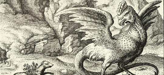 Lo sguardo assassino del temibile Basilisco Basilisco