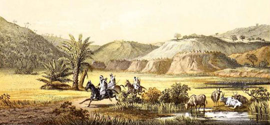 Quando il deserto del Sahara era verde Deserto del Sahara