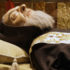 Padre Pio - Fenomeni Paranormali