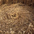 Crop Circles - Cerchi nel Grano