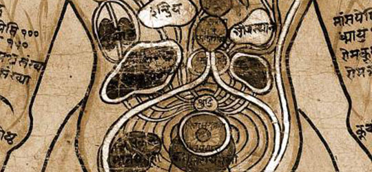 Ayurveda: l’antica tradizione medica indiana Ayurveda - Medicina Tradizionale Indiana
