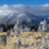 San Francisco Peaks - Goodman e l'Archeologia Metapsichica