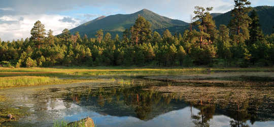 Goodman e l’archeologia metapsichica San Francisco Peaks