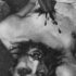 Vampiri Il Contagio dei non Morti