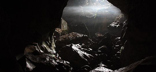 Esistono umanoidi sul pianeta Terra? Caverna