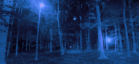 UFO nella foresta di Rendlesham Foresta di Rendlesham
