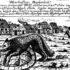 Peter Stubbe Licantropia